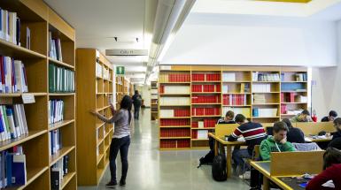 consultazione