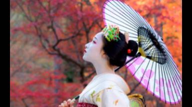Madame Butterfly