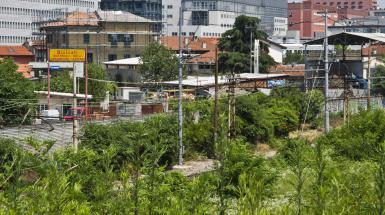 Bicocca Flora