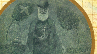 Darwin