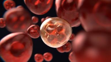 BD scienze e medicina