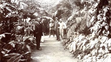 Calcutta Giardino Botanico