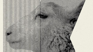 cover_gialli spaziali