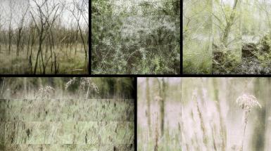 The Third Landscape