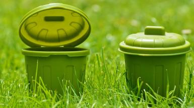 Plastica e Green