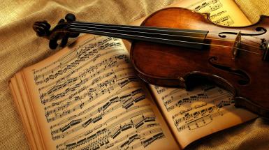 violino cambristi