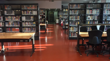 15 luglio biblioteca