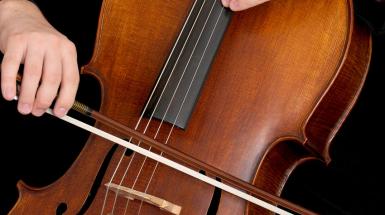 Violoncello