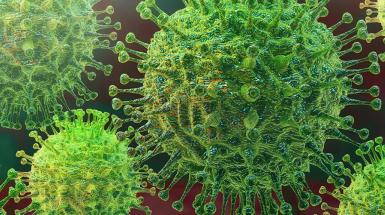 coronavirus