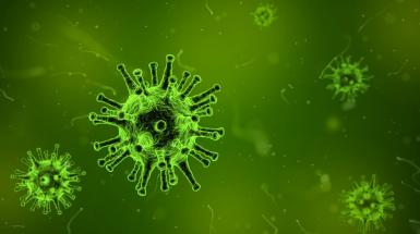 Microbiology Society journal content