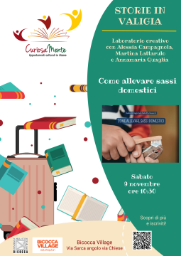 Locandina sassi doemstici