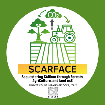 logo SCARFACE