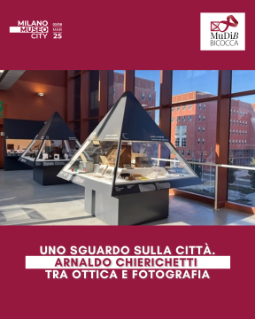 museoCity 2025.png