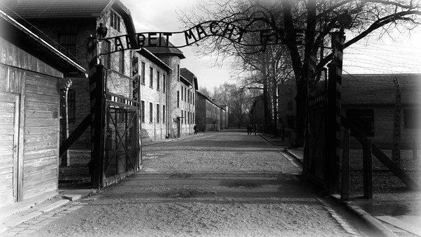 trial shoah