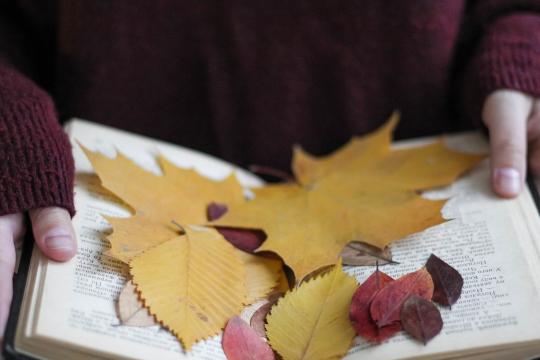 Autunno