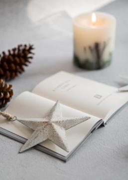 libri stella natale